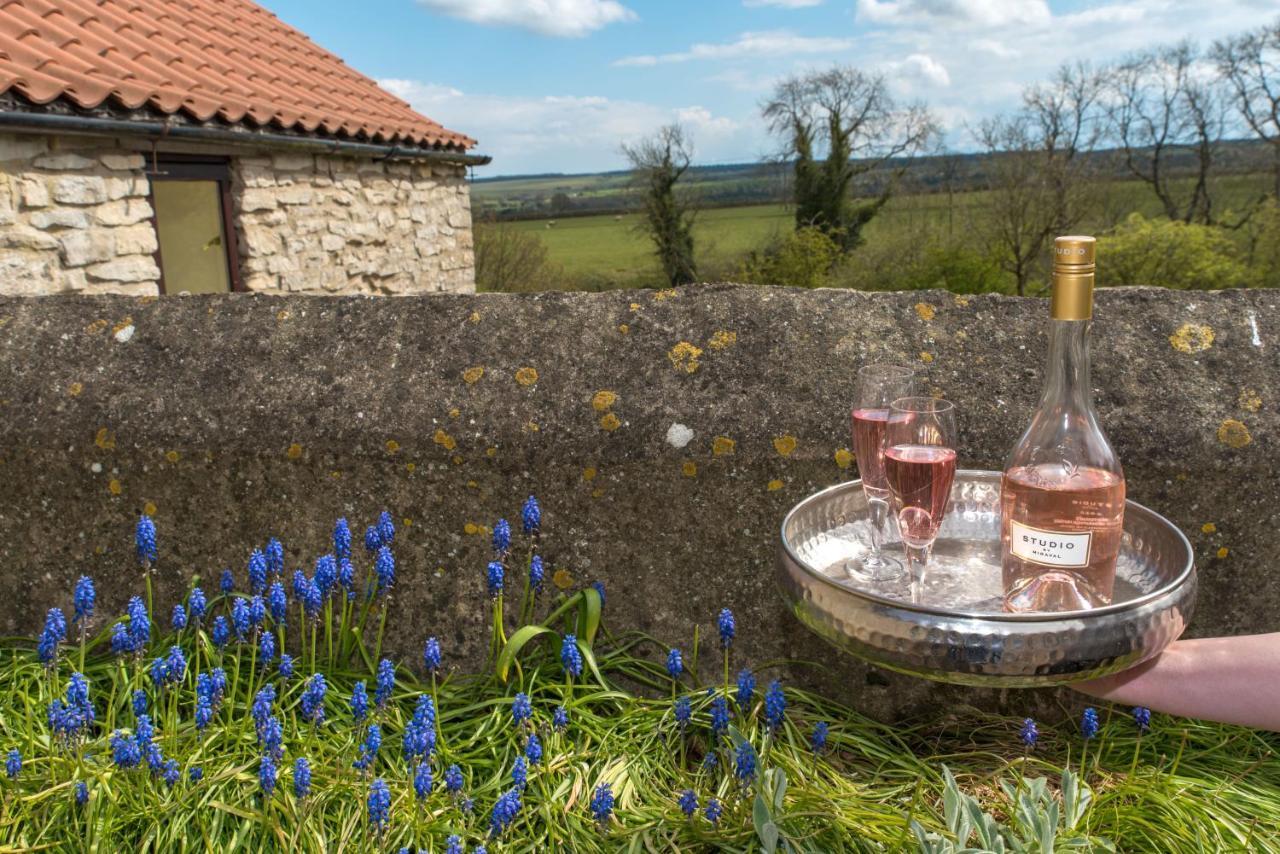 Valley View Farm Holiday Cottages هلمسلي المظهر الخارجي الصورة