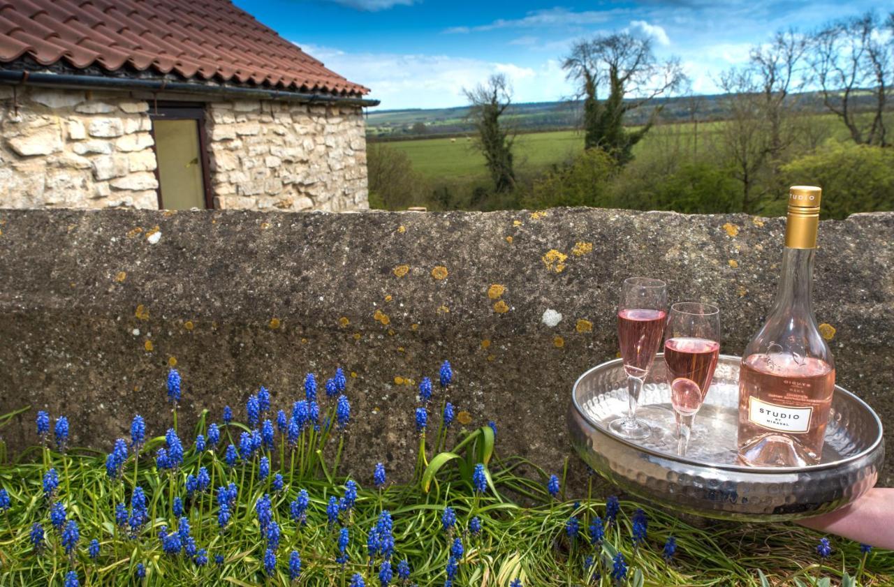 Valley View Farm Holiday Cottages هلمسلي المظهر الخارجي الصورة