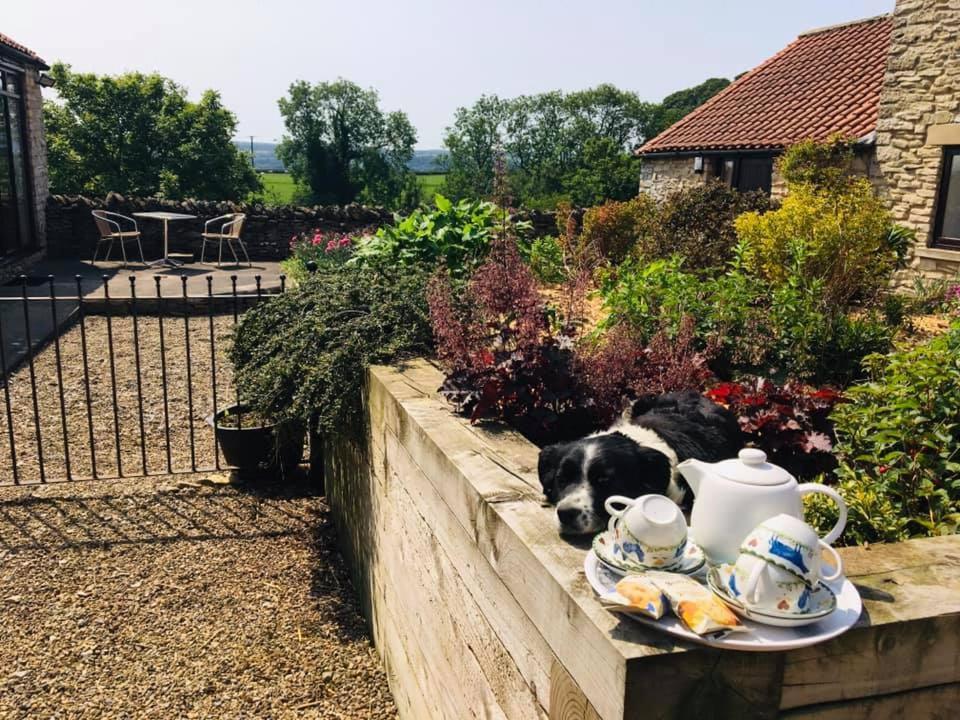Valley View Farm Holiday Cottages هلمسلي المظهر الخارجي الصورة